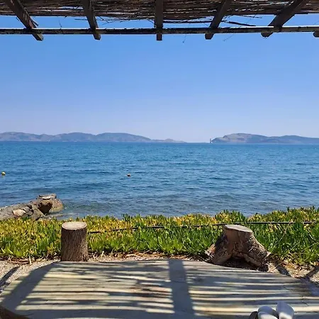 Willa Seaside